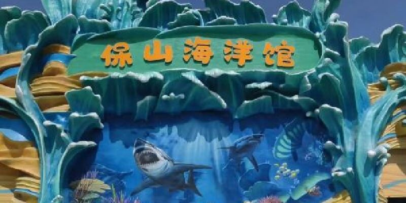 产品图1