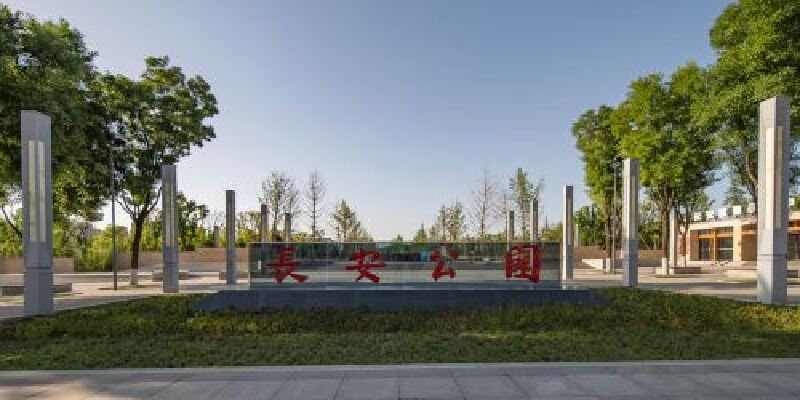 产品图1