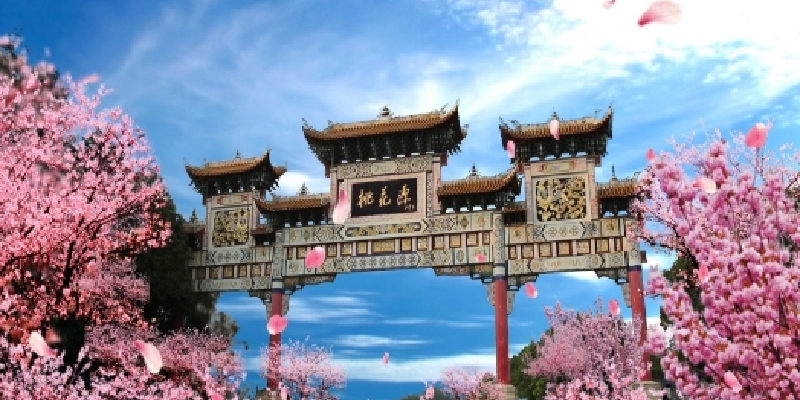 产品图1