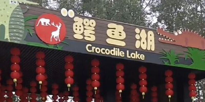 产品图1