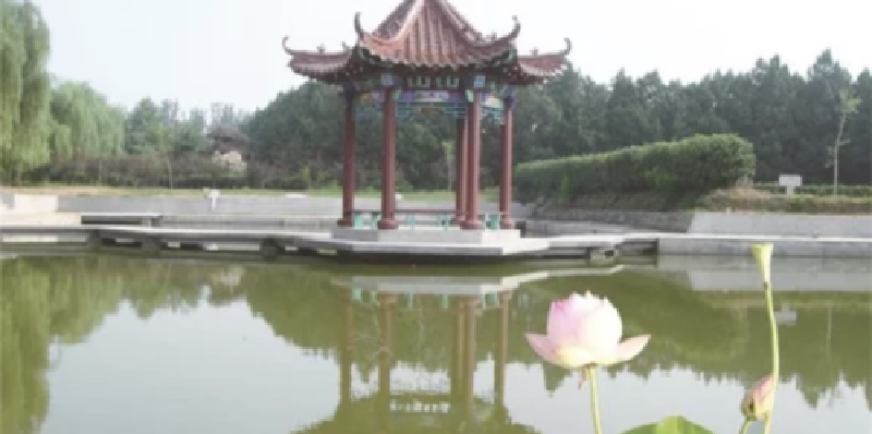 产品图1