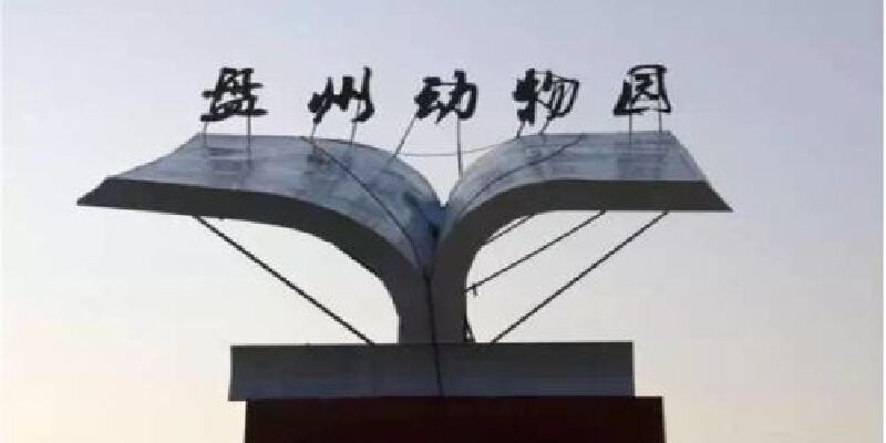 产品图1
