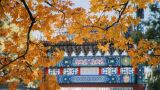 香山公园