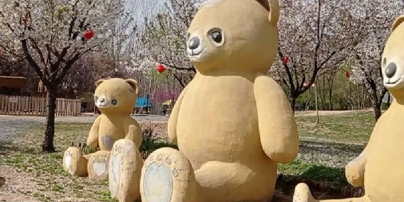 产品图1