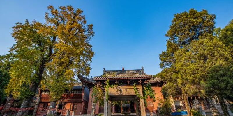 产品图1