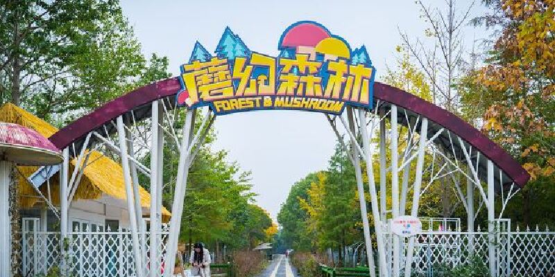 产品图1