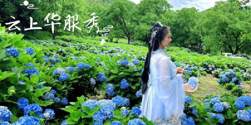 产品图1