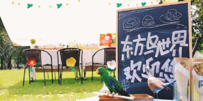 产品图1