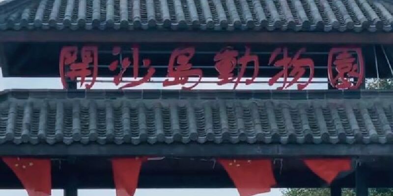 产品图1