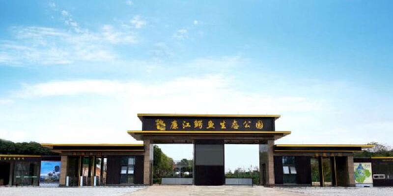 产品图1