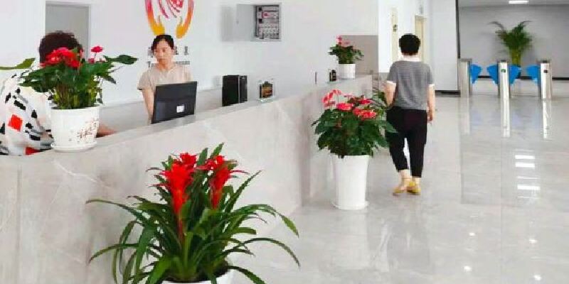 产品图1