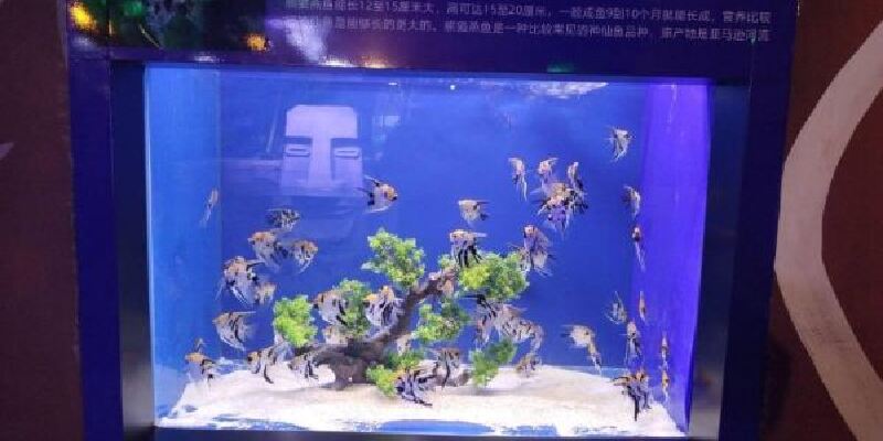 产品图1