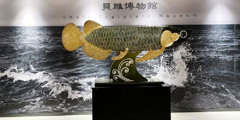 产品图1