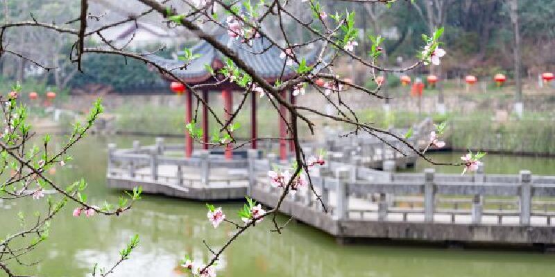 产品图1