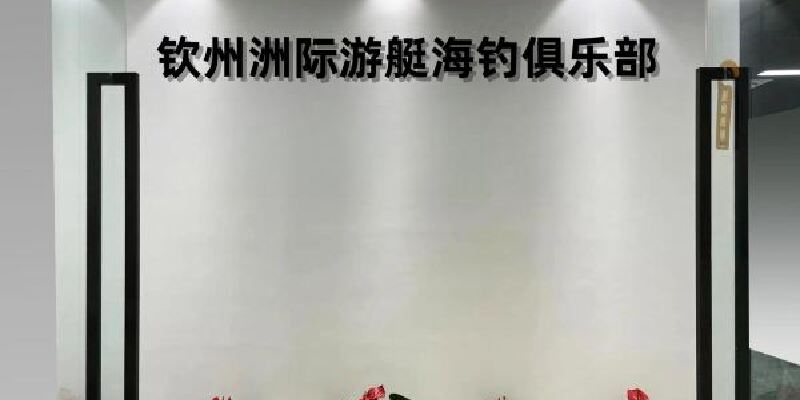 产品图1
