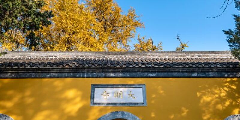 产品图1