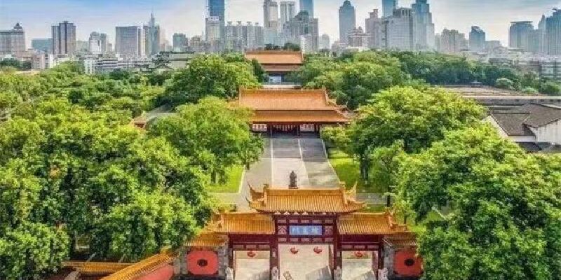 产品图1