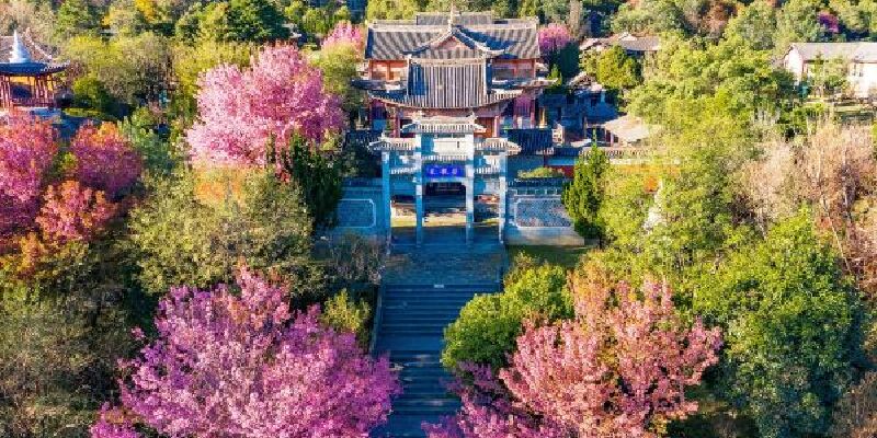 产品图1
