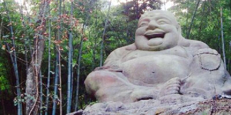 产品图1