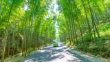 宜兴竹海风景区