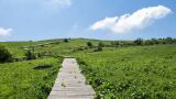 历山舜王坪景区