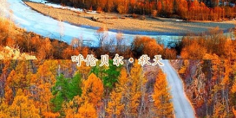 产品图1