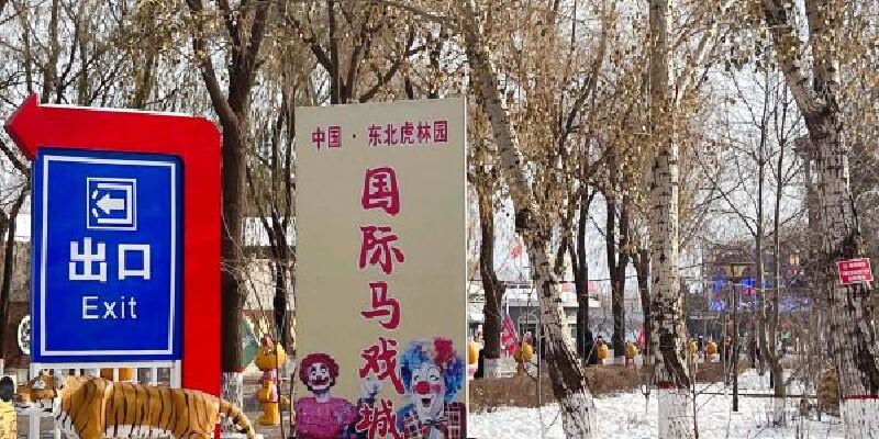 产品图1