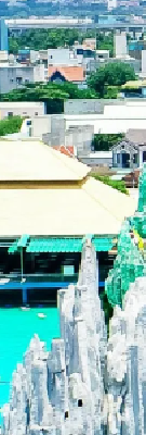 产品图1