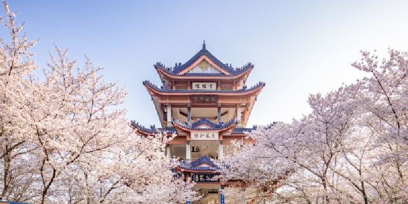 产品图1