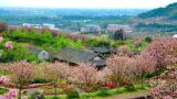 新津花舞人间景区