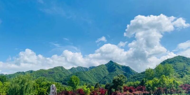 产品图1