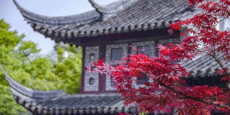 产品图1