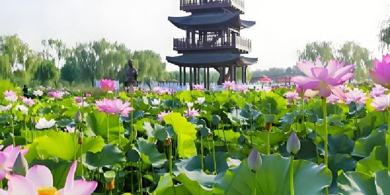 产品图1