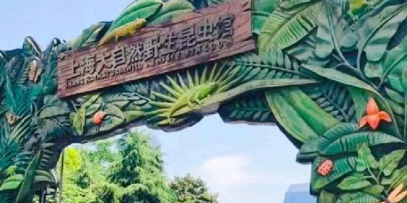 产品图1
