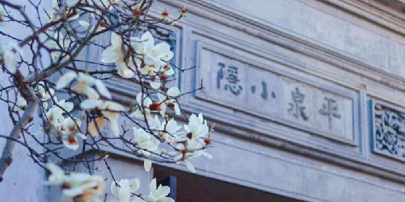 产品图1