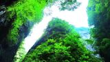 金丝峡国家森林公园
