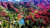 济南红叶谷