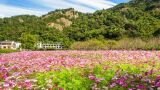 雁荡山
