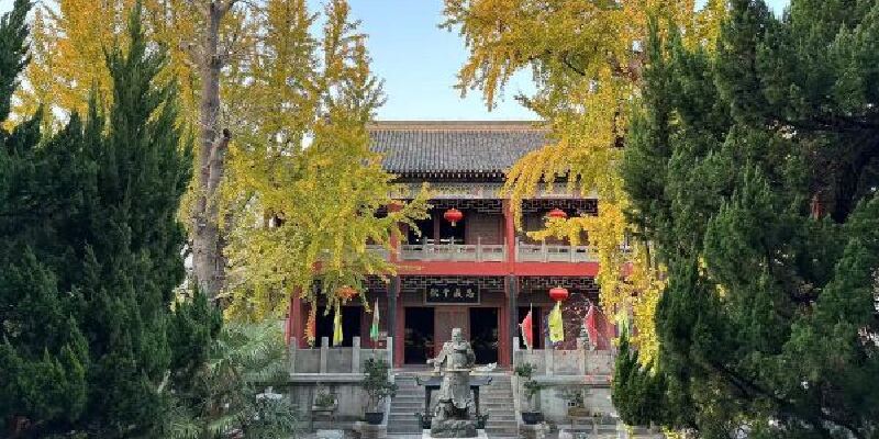 产品图1