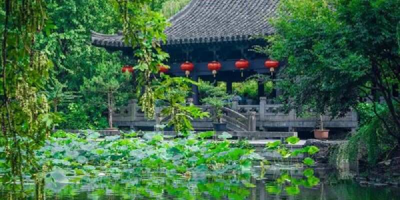 产品图1