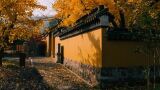 紫金庵
