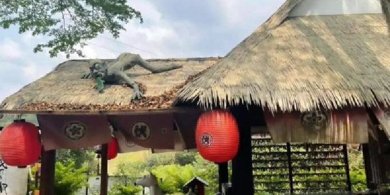 产品图1