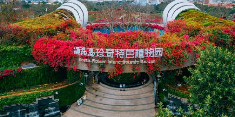 产品图1