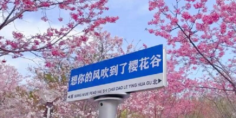 产品图1