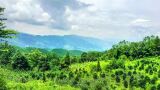 重庆摩围山风景区