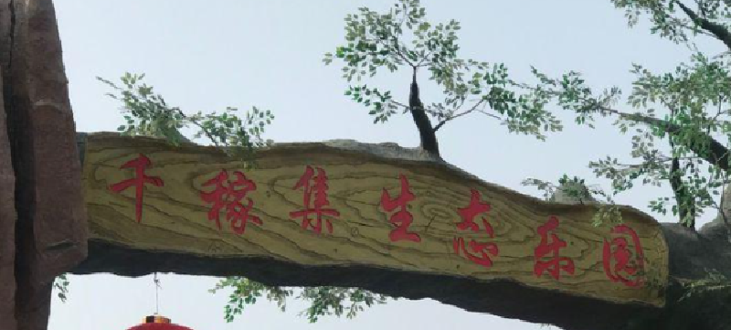 产品图1