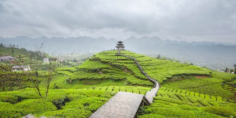 产品图1