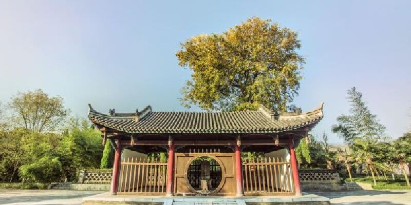 产品图1