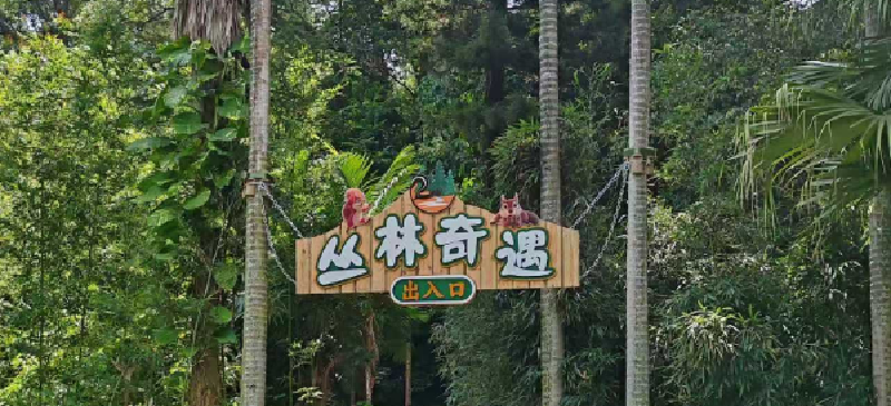 产品图1