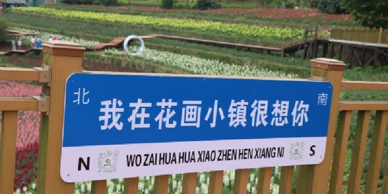 产品图1